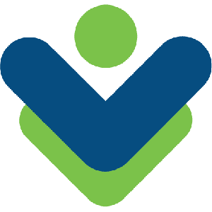 Visual Visitor logo